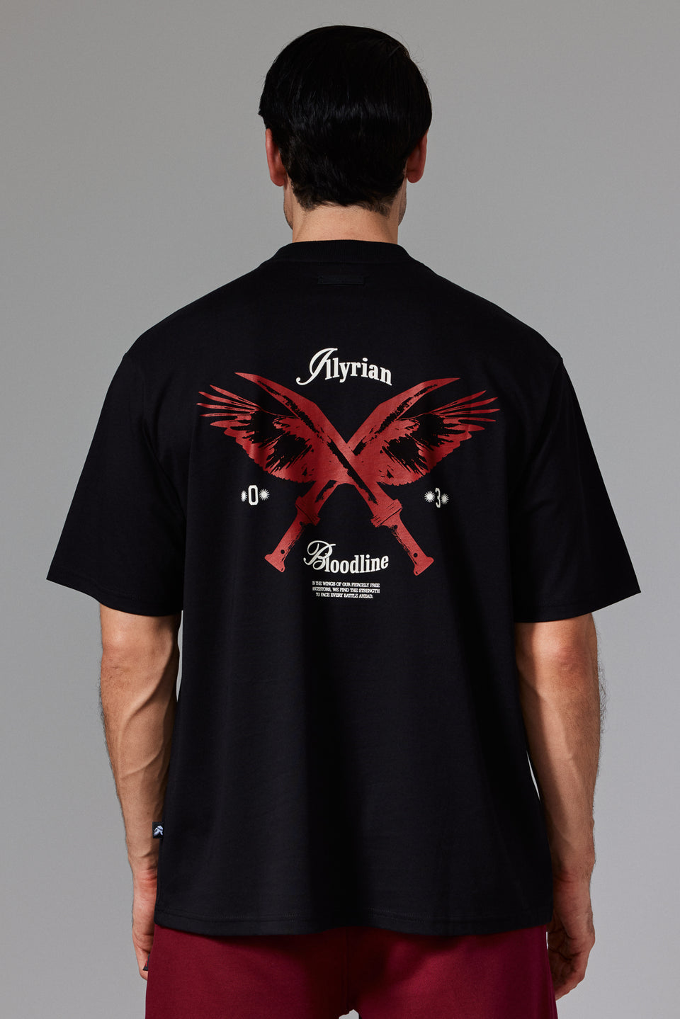 Wings And Swords T-shirt - Black